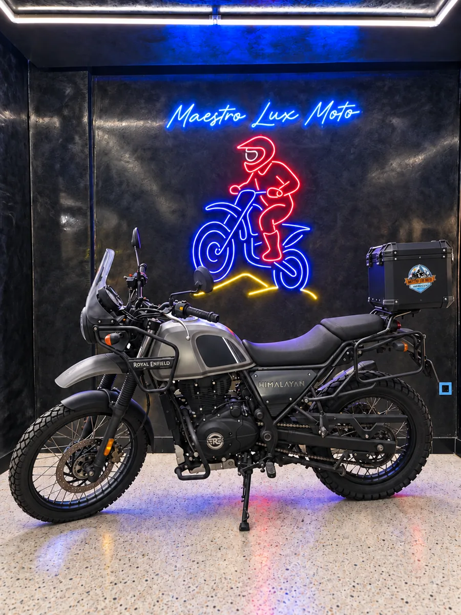 BMW G 310 GS